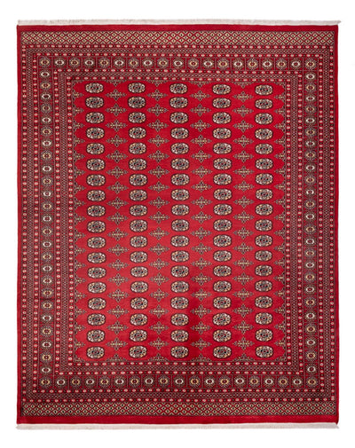 Bukhara Koberec 244x312cm - Orientální koberec