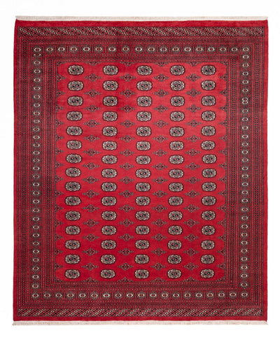 Bukhara Koberec 246x305cm - Orientální koberec