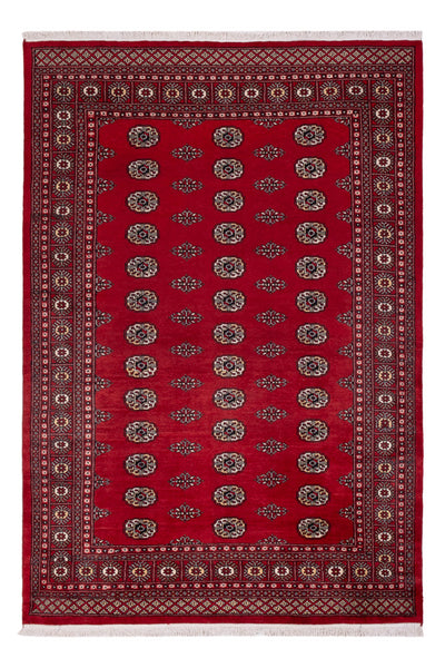 Pákistánský koberec 164x239cm - Orientální koberec