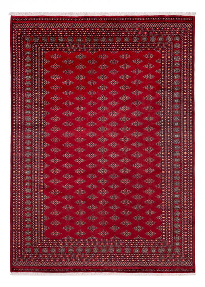 Bukhara Koberec 253x350cm - Orientální koberec