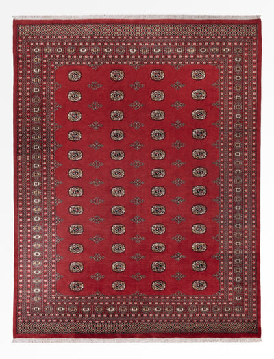 Pákistánský koberec 251x331cm - Orientální koberec