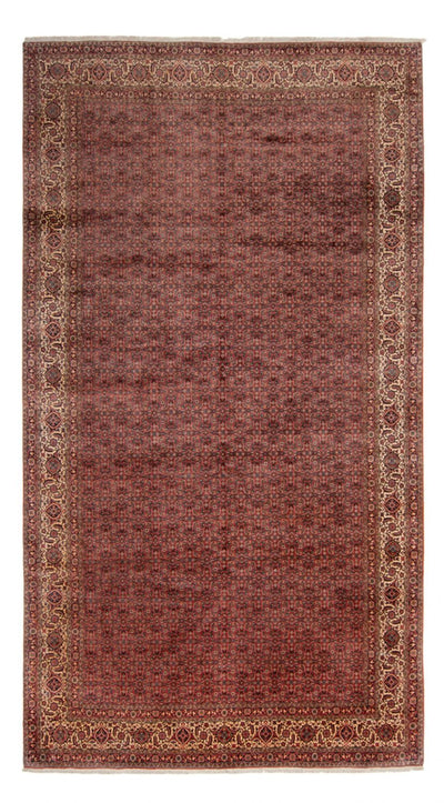 Bidjar - Takab Koberec 256x482cm - Perský koberec - hnědá
