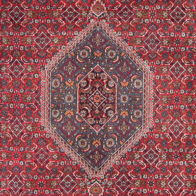 Indo Bidjar Koberec 251x338cm - Orientální koberec - červená