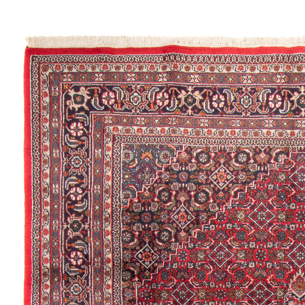 Indo Bidjar Koberec 251x338cm - Orientální koberec - červená