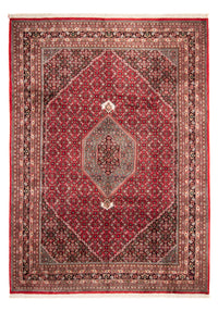 Indo Bidjar Koberec 255x361cm - Orientální koberec - červená – product image