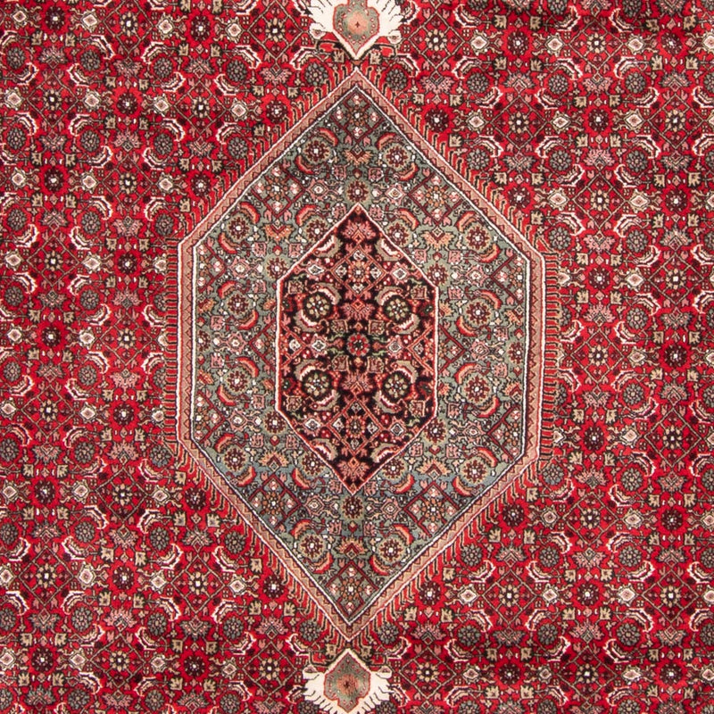 Indo Bidjar Koberec 255x361cm - Orientální koberec - červená