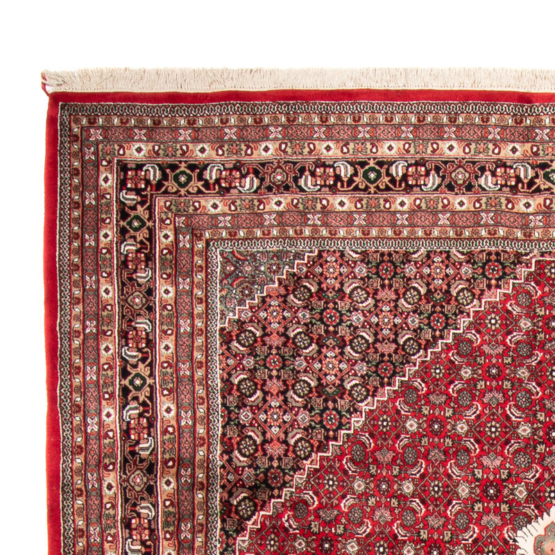 Indo Bidjar Koberec 255x361cm - Orientální koberec - červená