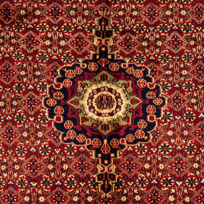 Indo Bidjar Koberec 308x198cm - Orientální koberec