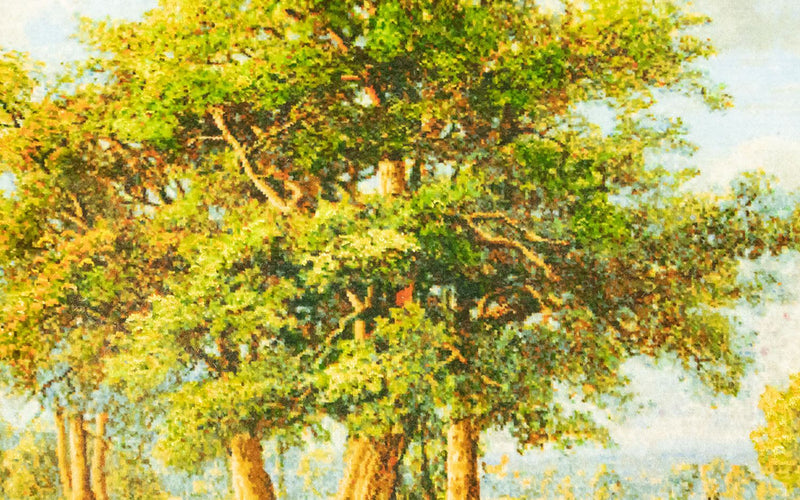Obrázkový koberec 116x84cm - Orientální koberec