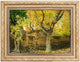 Obrázkový koberec - 98 x 77 cm - vícebarevné