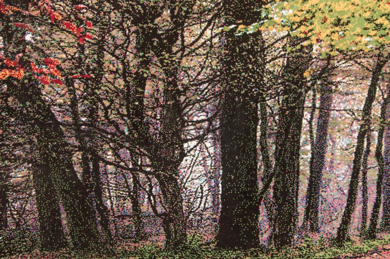 Obrázkový koberec 63x110cm - Orientální koberec