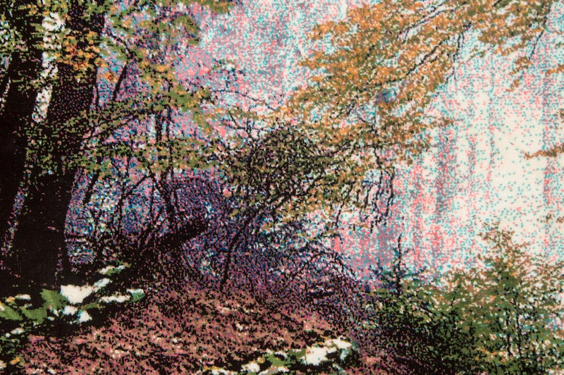 Bild-Teppich 113x64cm - Orientteppich
