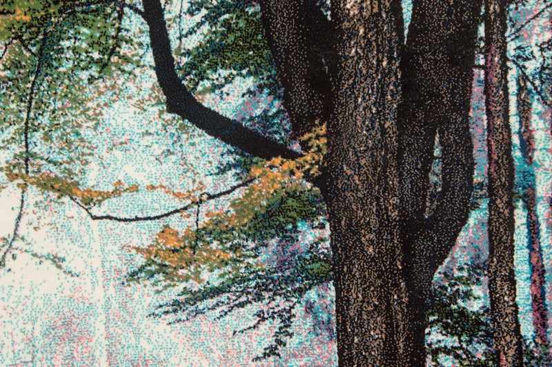 Bild-Teppich 113x64cm - Orientteppich