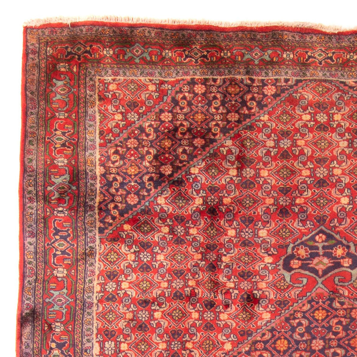 Ardabil Koberec 203x290cm - Perský koberec