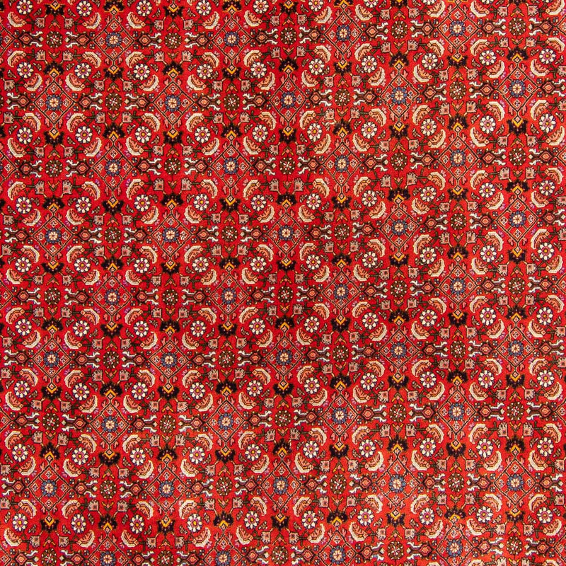 Bidjar Koberec 300x204cm - Perský koberec