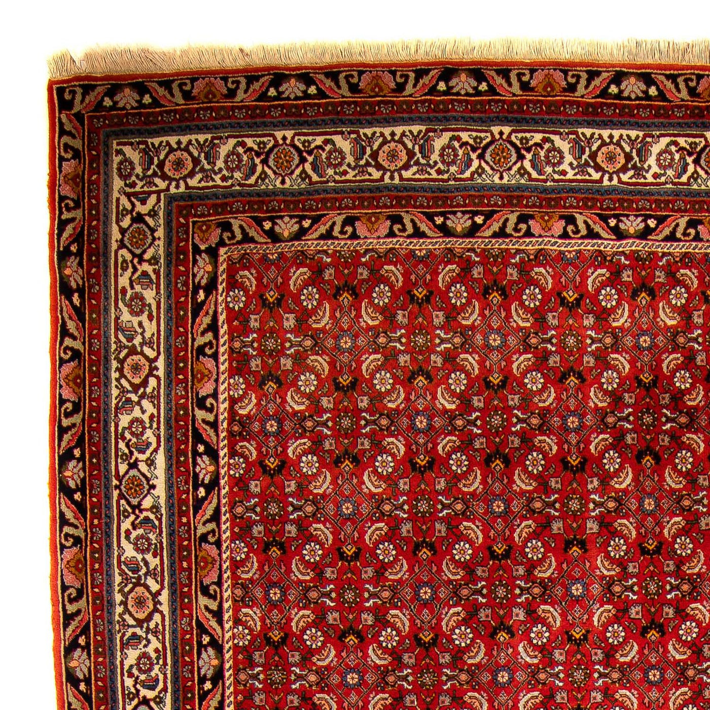 Bidjar Koberec 300x204cm - Perský koberec