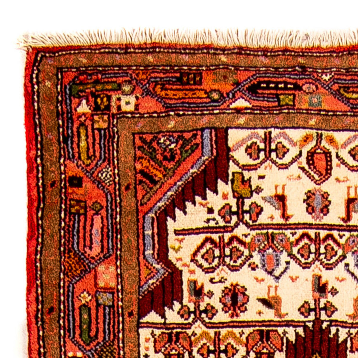 Ardabil Koberec 70x240cm - Perský koberec