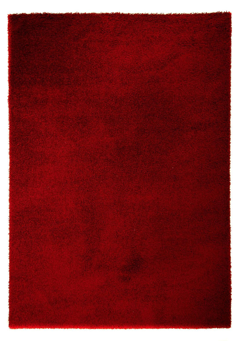 Shaggy Koberec 290x200cm - Shaggy Teppich