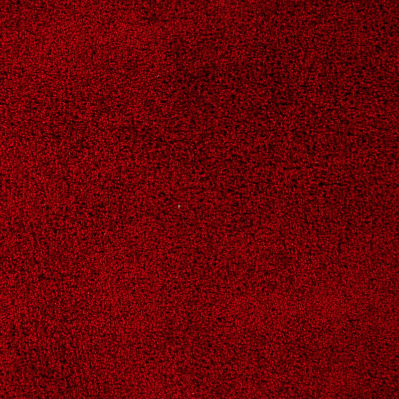 Shaggy Koberec 290x200cm - Shaggy Teppich