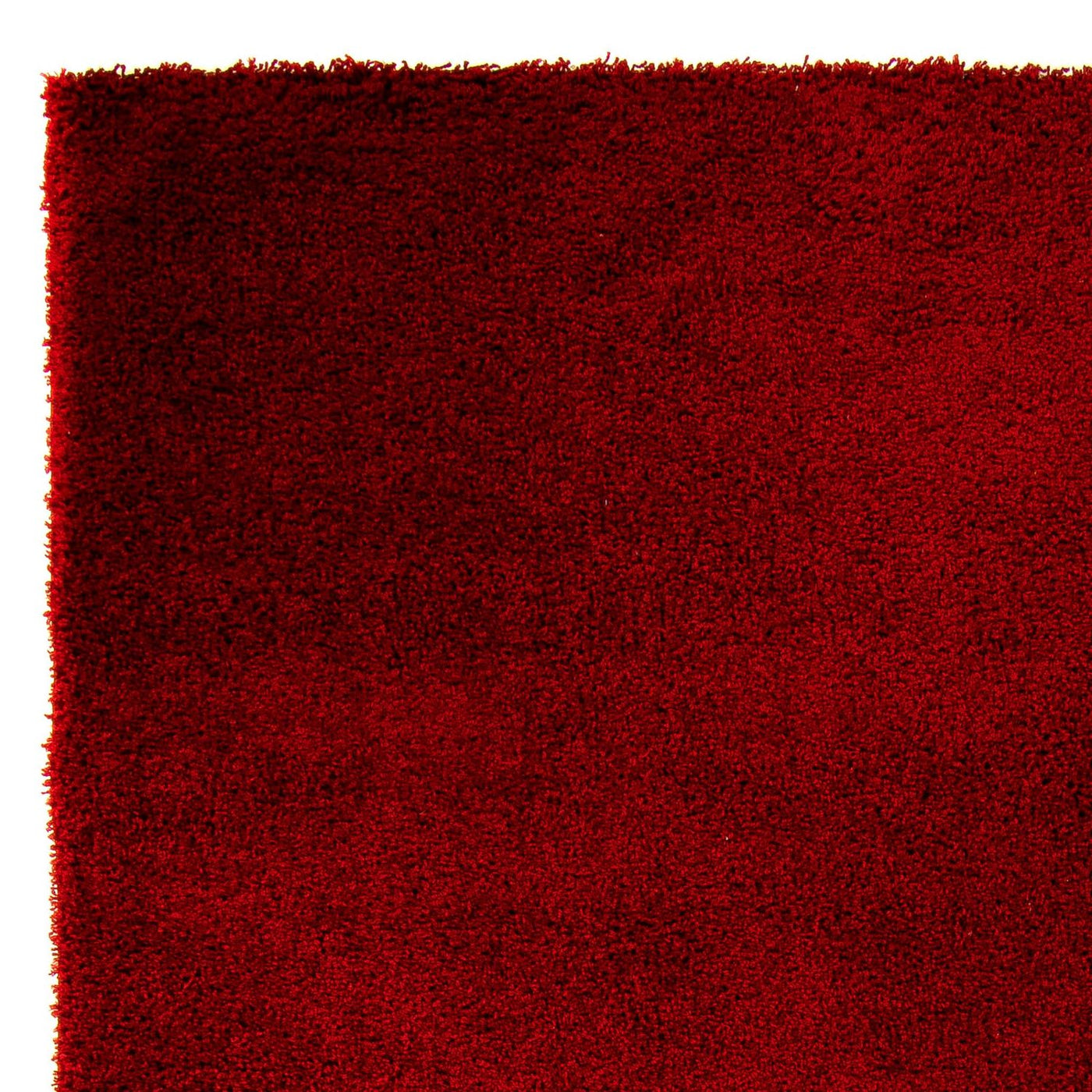Shaggy Koberec 290x200cm - Shaggy Teppich