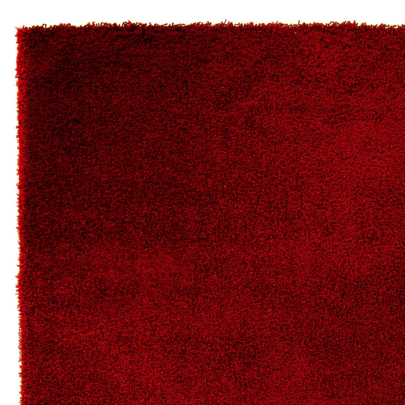Shaggy Koberec 290x200cm - Shaggy Teppich