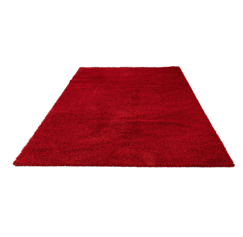 Shaggy Koberec 290x200cm - Shaggy Teppich