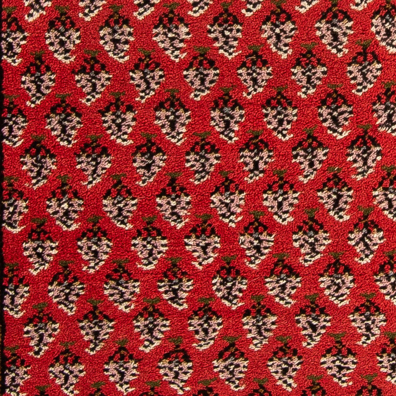 Indo Mir Koberec 90x160cm - Orientální koberec