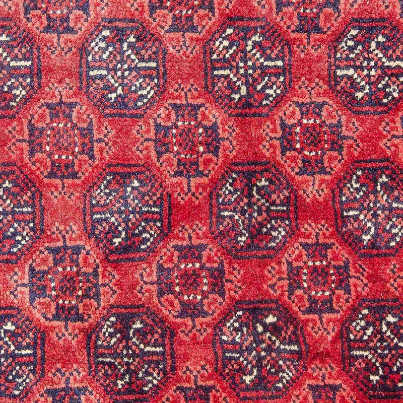 Bukhara Koberec 195x299cm - Orientální koberec - červená
