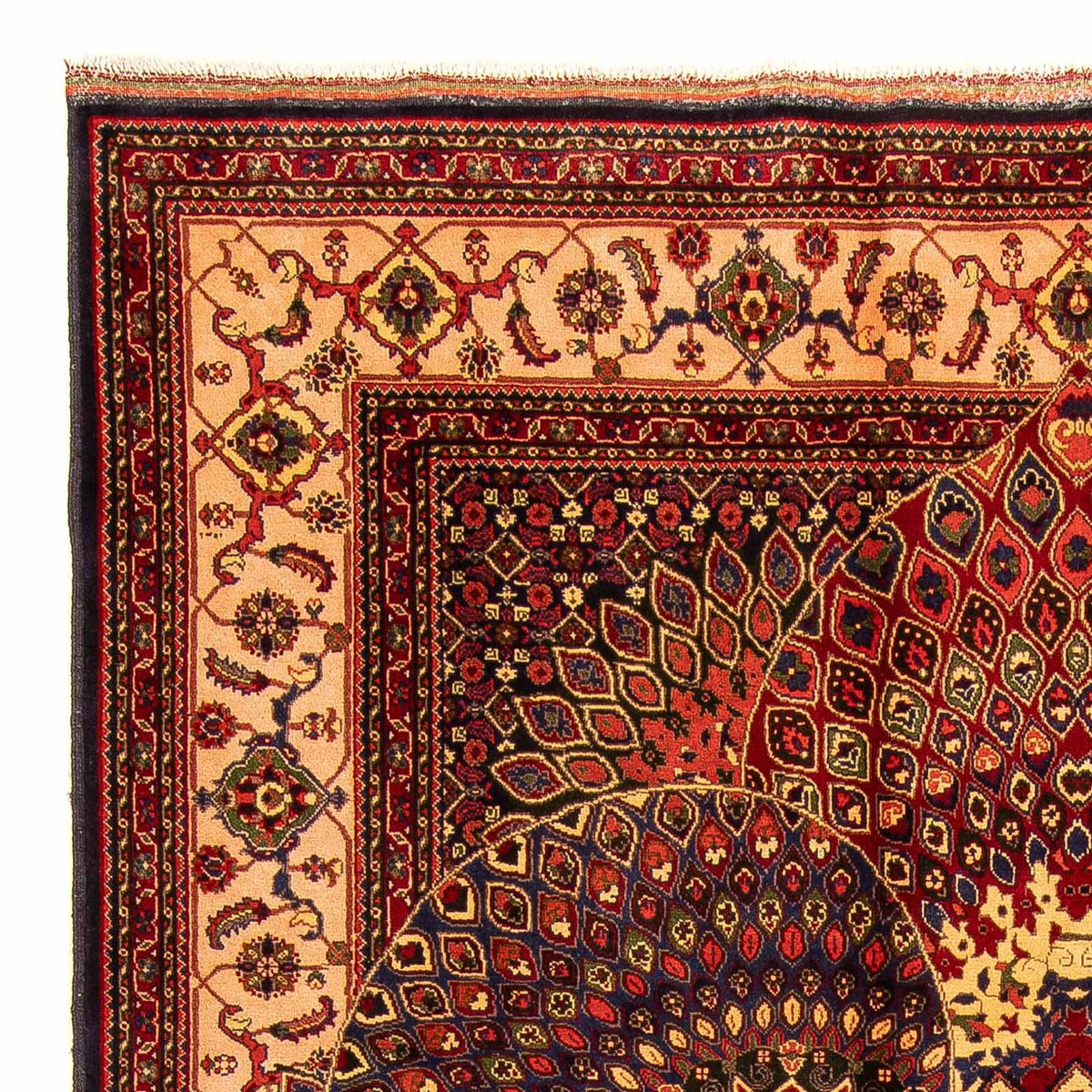 Afghánský koberec 198x279cm - Orientální koberec