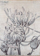 Designový koberec 240x300cm - Designerteppich