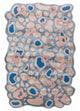 Designový koberec 180x270cm - Designerteppich