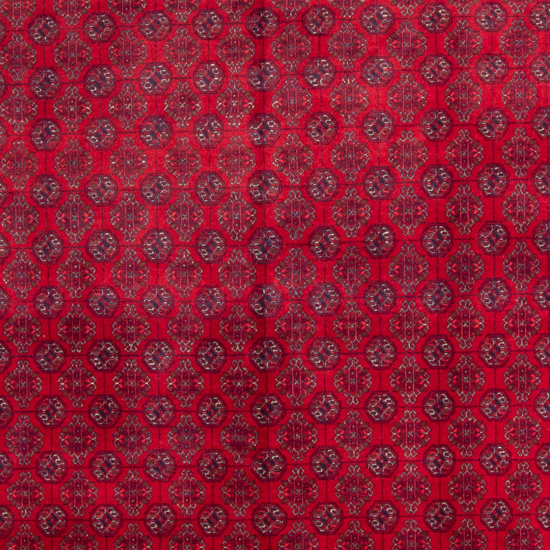 Bukhara Koberec 240x340cm - Orientální koberec