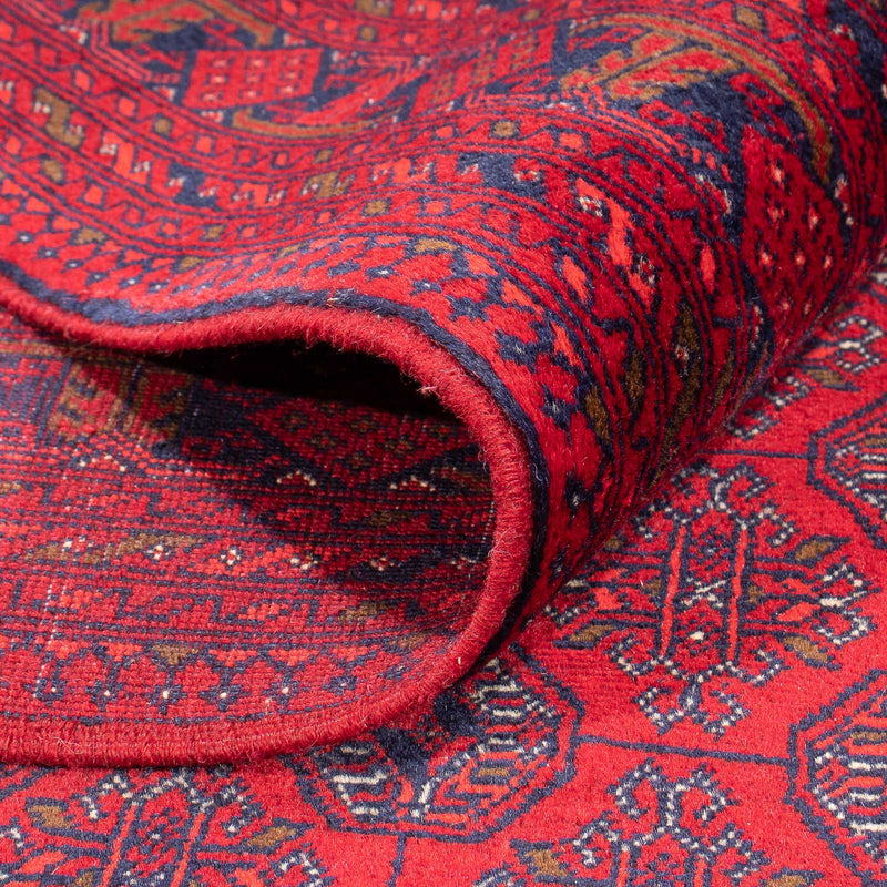Bukhara Koberec 240x340cm - Orientální koberec
