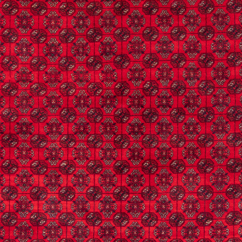 Bukhara Koberec 290x196cm - Orientální koberec