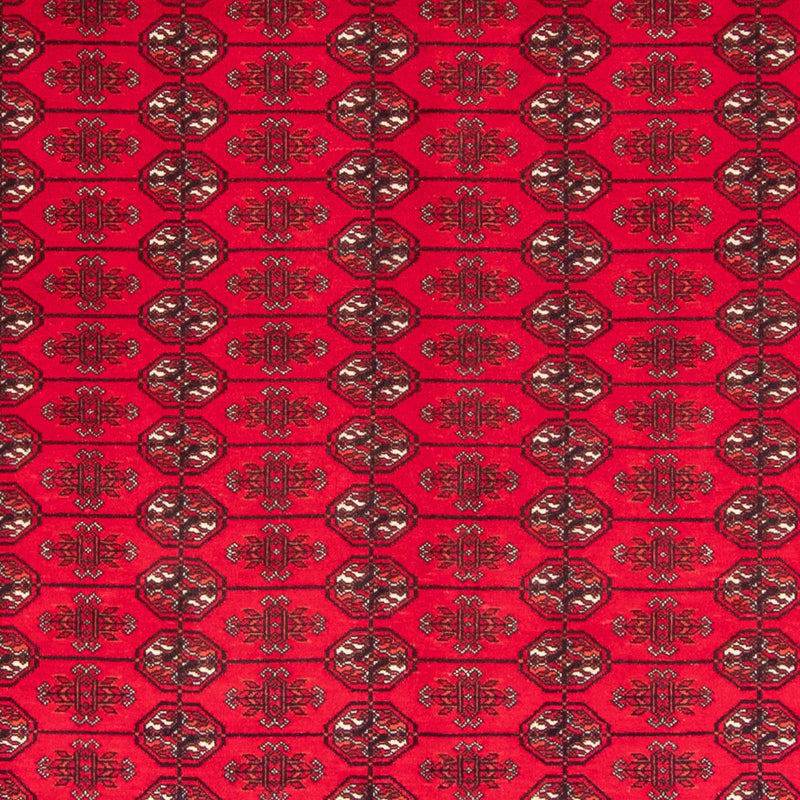Bukhara Koberec 200x282cm - Orientální koberec
