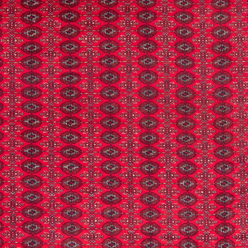 Bukhara Koberec 300x370cm - Orientální koberec