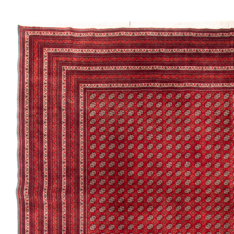 Bukhara Koberec 375x300cm - Orientální koberec