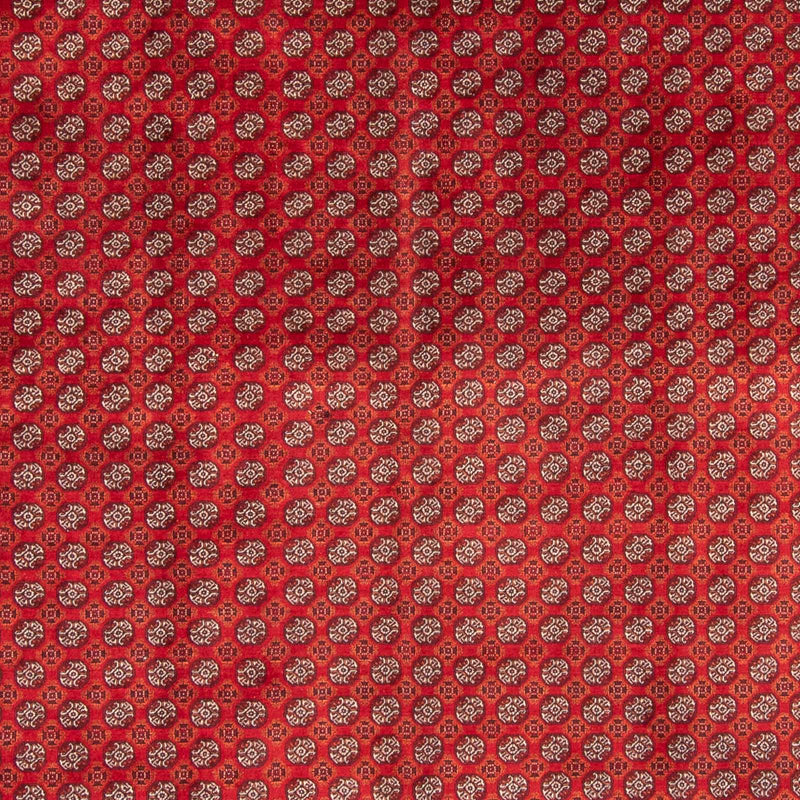 Bukhara Koberec 375x300cm - Orientální koberec