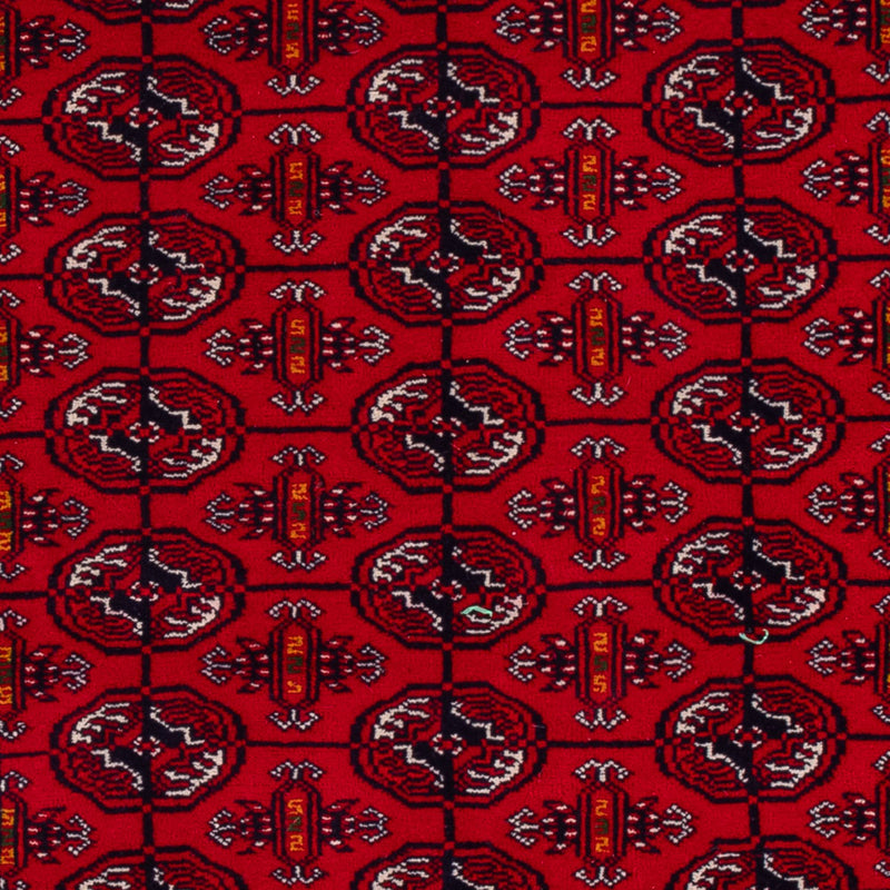 Bukhara Koberec 209x132cm - Orientální koberec