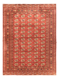 Bukhara Koberec 300x410cm - Orientální koberec – product image