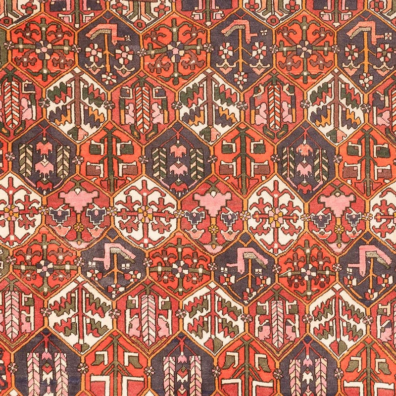 Bakhtiari Koberec 210x310cm - Perský koberec