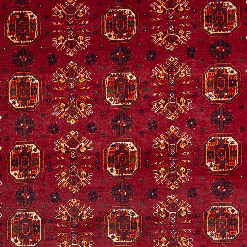Bukhara Koberec 284x194cm - Orientální koberec