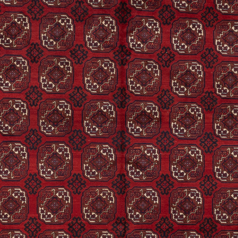 Bukhara Koberec 334x252cm - Orientální koberec