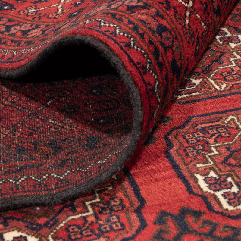 Bukhara Koberec 334x252cm - Orientální koberec