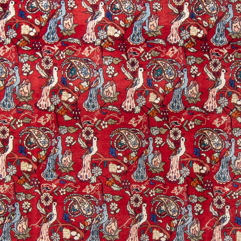 Perský koberec - Bijar - 280 x 180 cm - červená