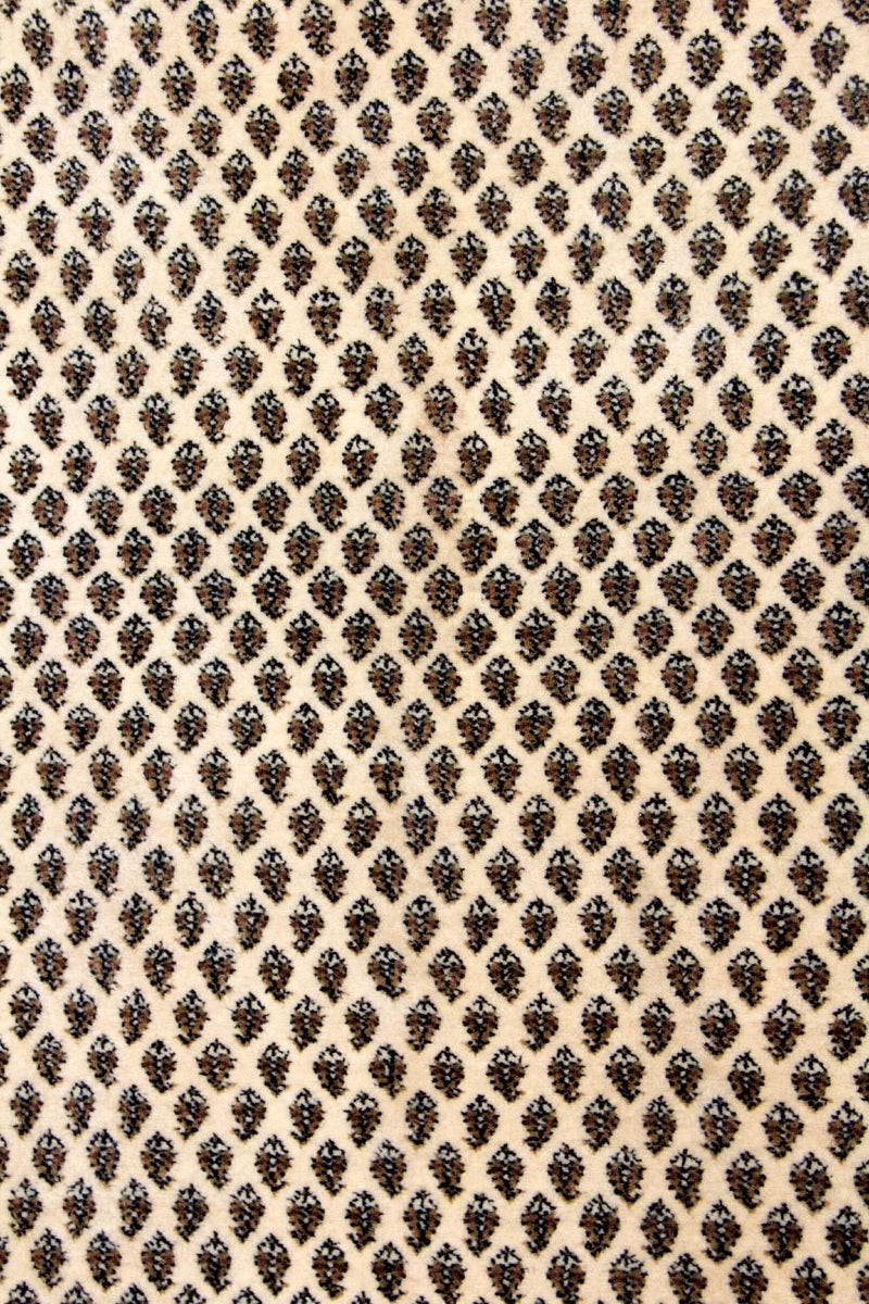 Mir Koberec 170x244cm - Perský koberec