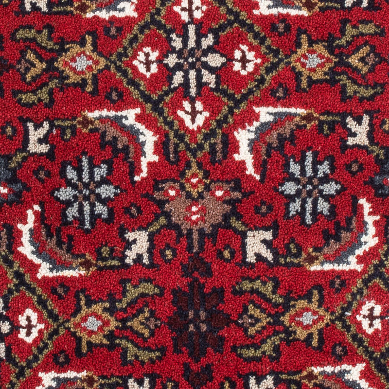 Indo Bidjar Koberec 60x90cm - Orientální koberec