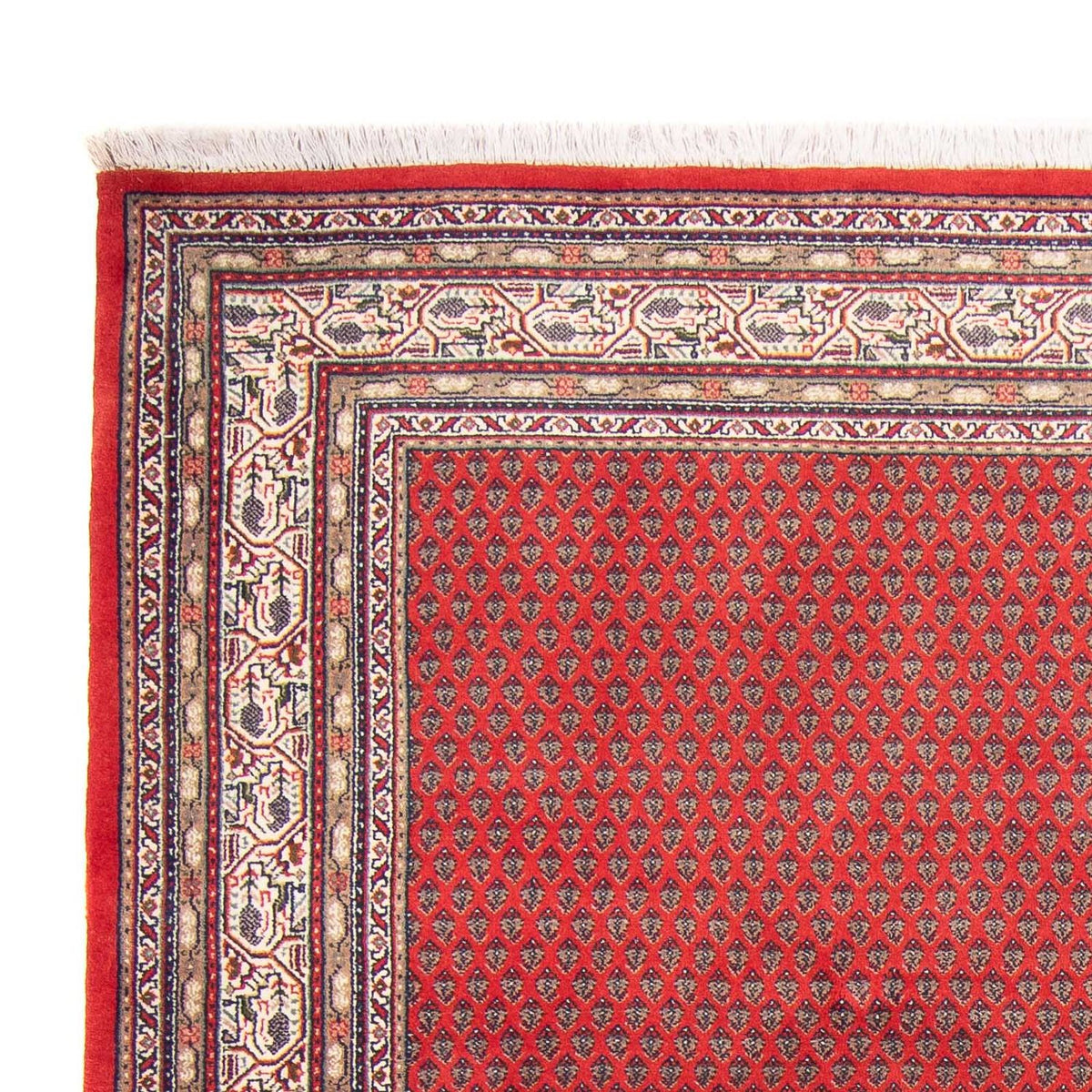 Indo Mir Koberec 173x239cm - Orientální koberec
