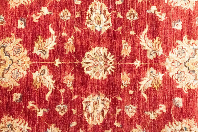Zieglerův koberec 153x101cm - Orientální koberec