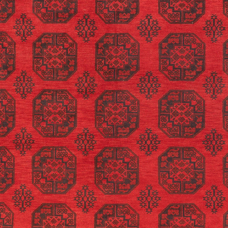 Akhche Koberec 309x401cm - Orientální koberec